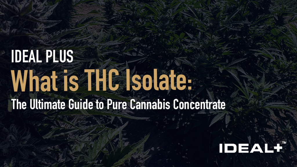 What is THC Isolate
