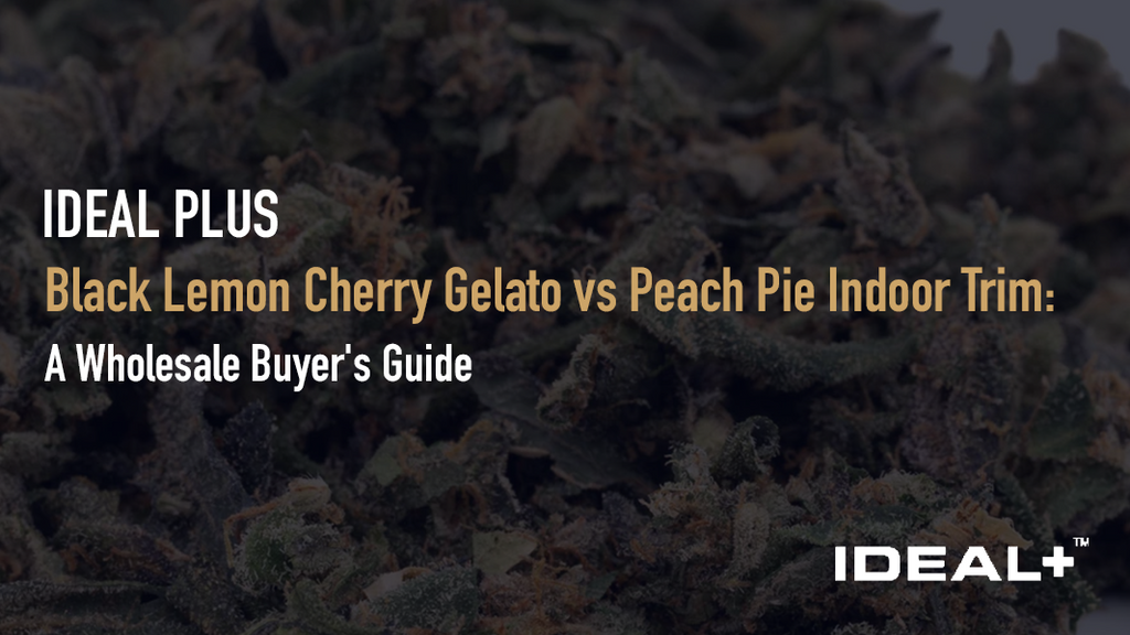 Black Lemon Cherry Gelato vs Peach Pie Indoor Trim