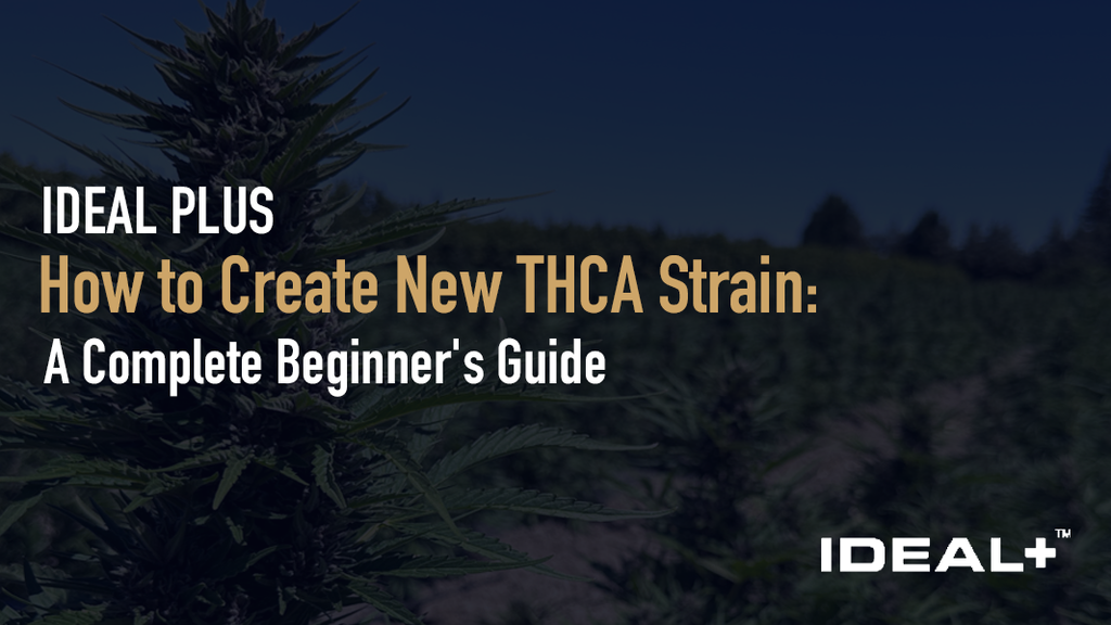 How to Create New THCA Strain