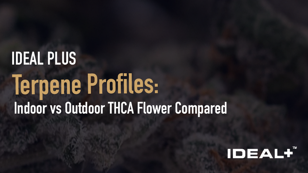 Terpene Profiles: Indoor vs Outdoor THCA Flower Compared
