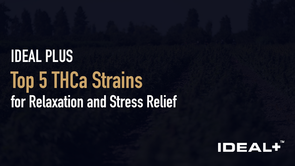 Top 5 THCa Strains for Relaxation and Stress Relief