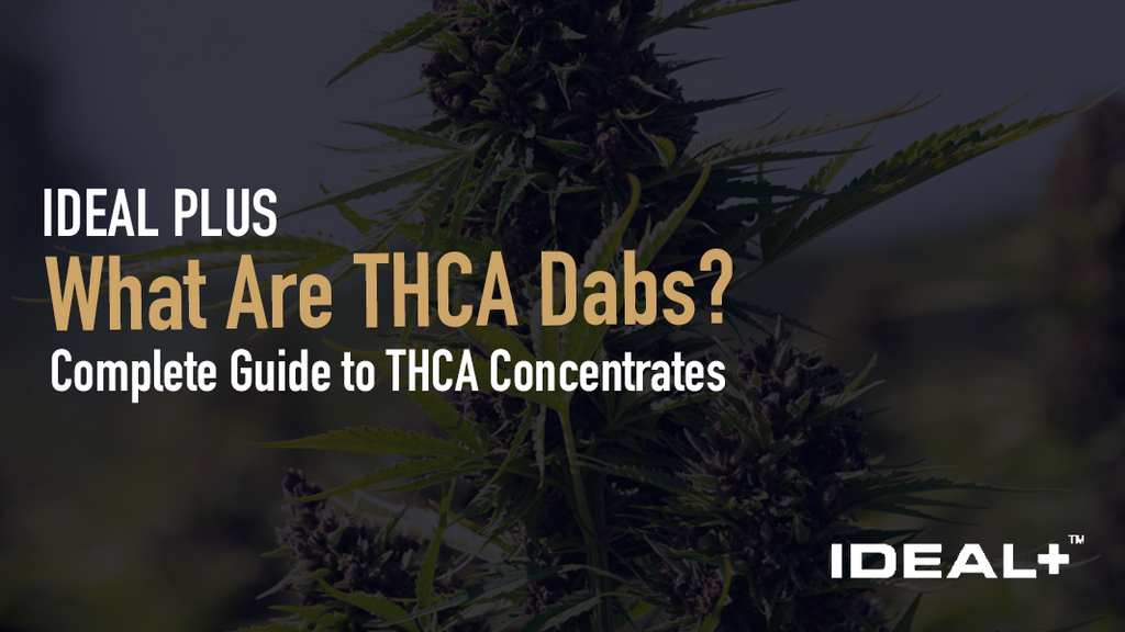 What Are THCA Dabs?