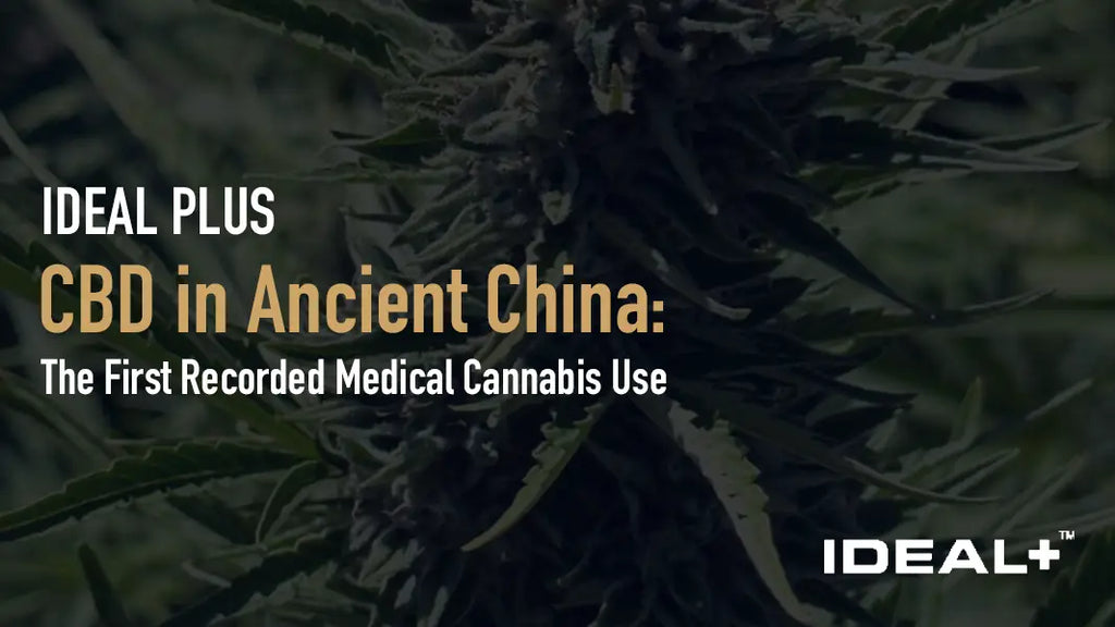 CBD in Ancient China