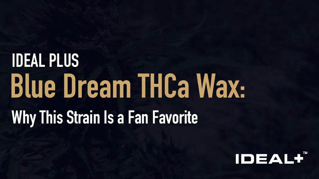 Blue Dream THCa Wax: Why This Strain Is a Fan Favorite