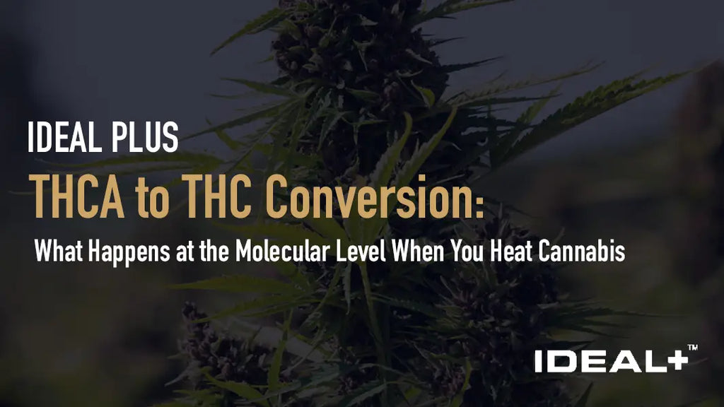 THCA to THC Conversion