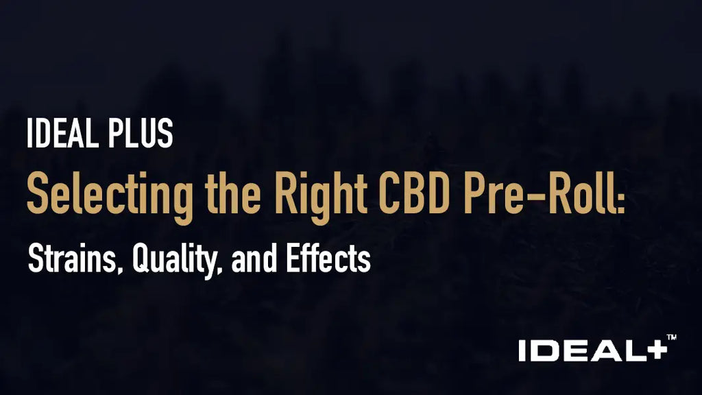 Selecting the Right CBD Pre-Roll: Strains Quality and Effects