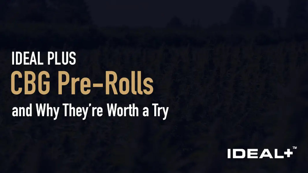 CBG Pre-Rolls and Why They’re Worth a Try