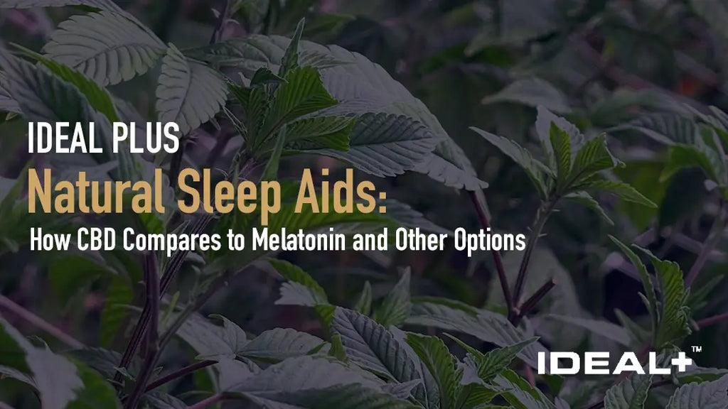 Natural Sleep Aids