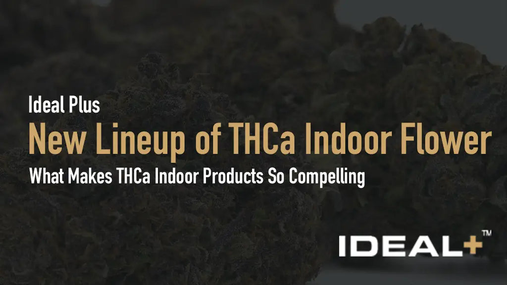 In this extensive blog post, we’ll explore lineup of THCa indoor flower and what makes THCa indoor products so compelling.