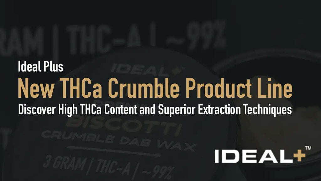 Introducing the New THCa Crumble Dab Wax Product Line: Discover the Best THCa products, including premium THCa Concentrates for next-level THCa Dabbing, from potent THCa Crumble and THCa Crumble Wax to the Best THCa Dabs and Best THCa Wax.