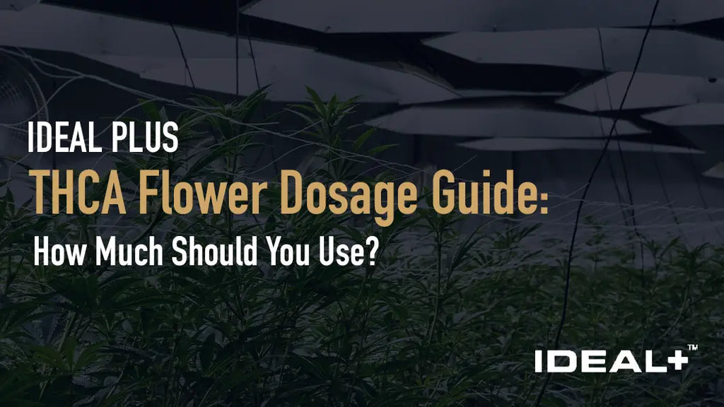 THCA Flower Dosage Guide