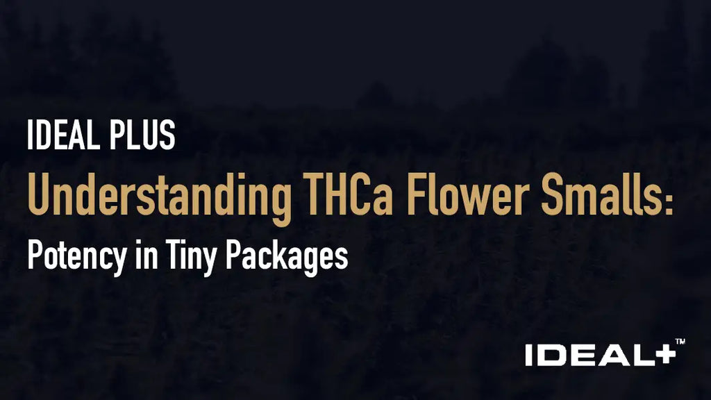 Understanding THCa Flower Smalls: Potency in Tiny Packages