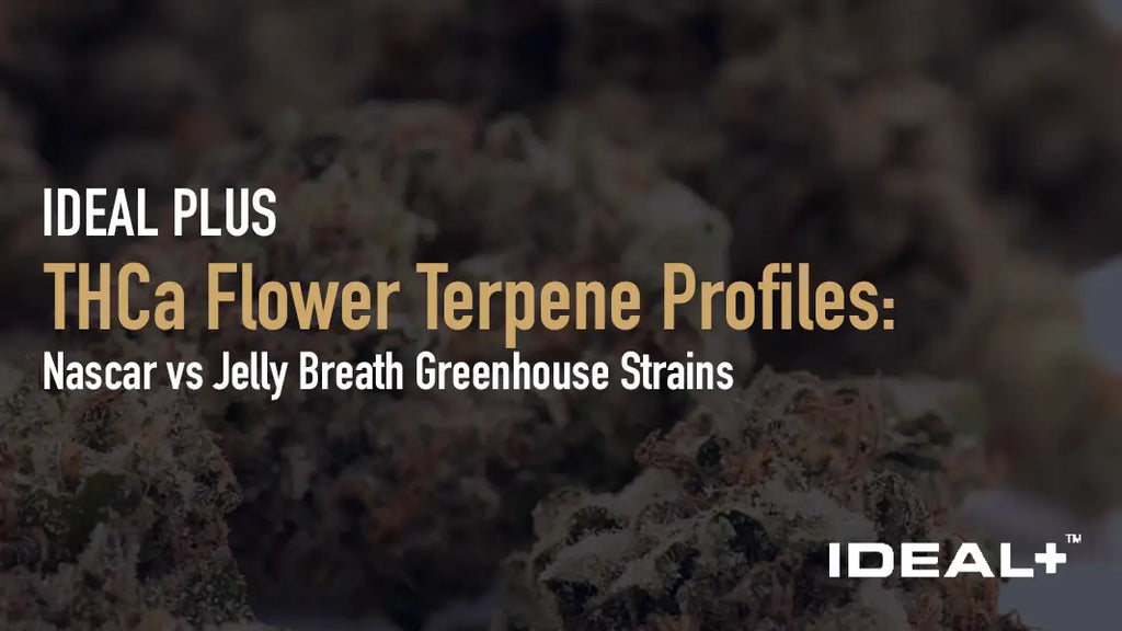 THCa Flower Terpene Profiles