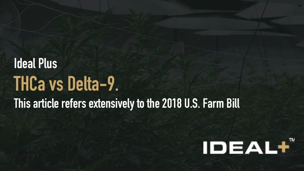 Discover THCa vs THC Delta-9, This article refers extensively to the 2018 U.S. Farm Bill, explaining legal framework renders THCa-rich hemp flower.