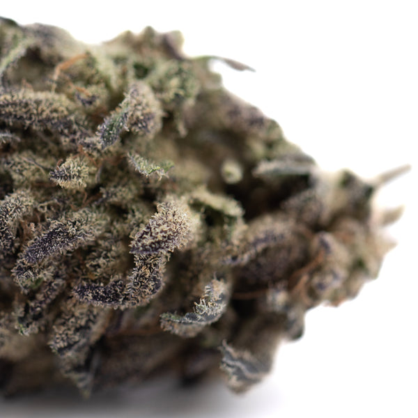 Blue Sugar THCa Hemp Flower Greenhouse