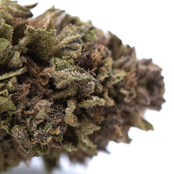 Blueberry Muffin THCa Flower Full-Term