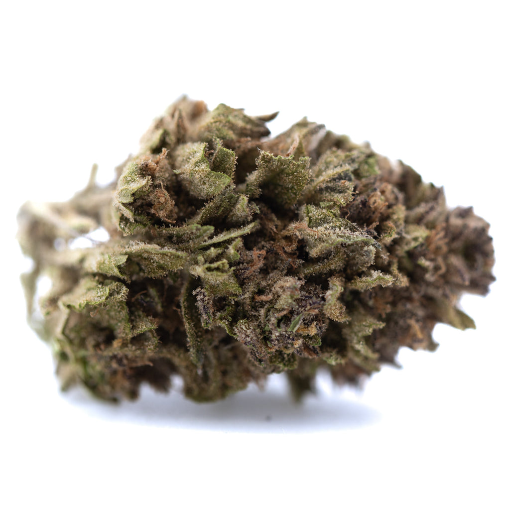 Blueberry Muffin THCa Flower Full-Term