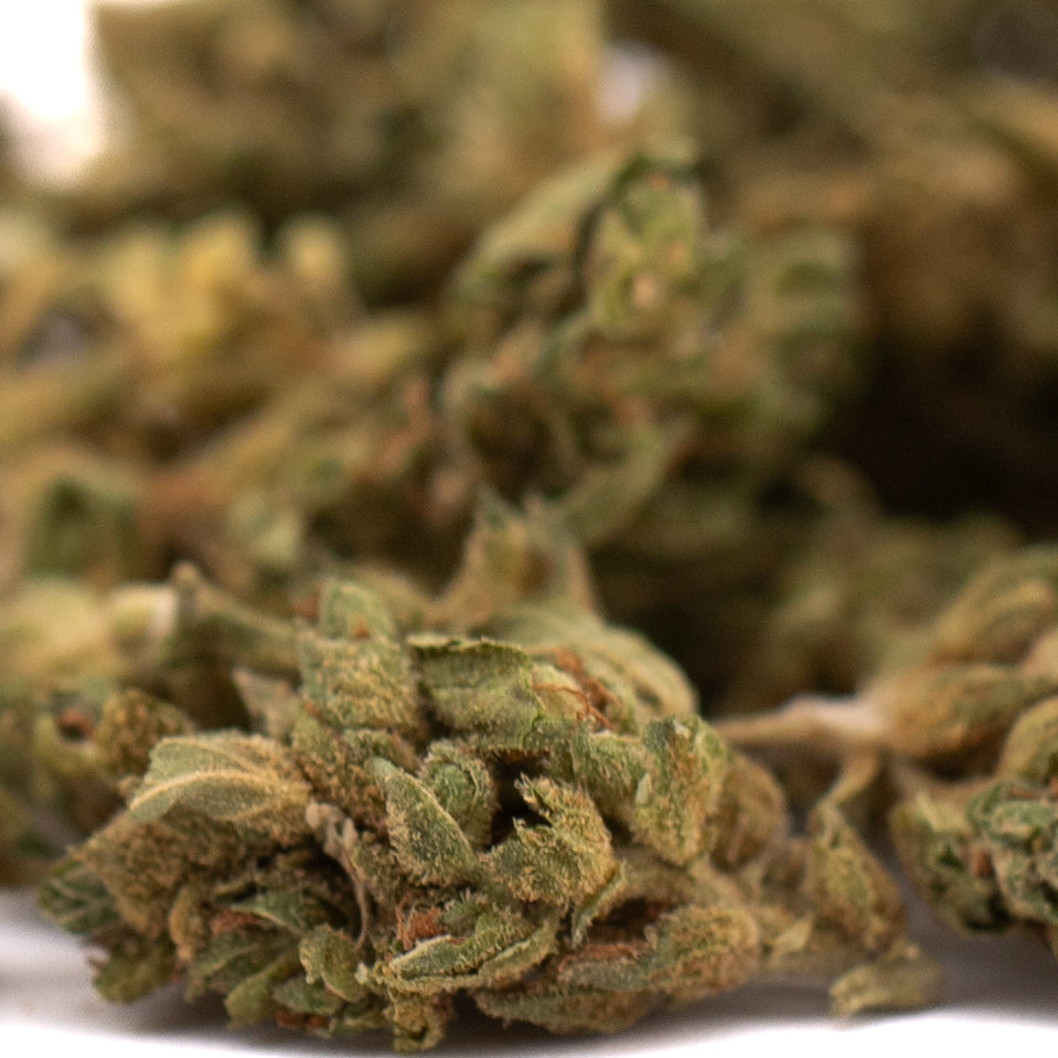 Early Wu CBD Hemp Flower Full-Term Smalls Wholesale