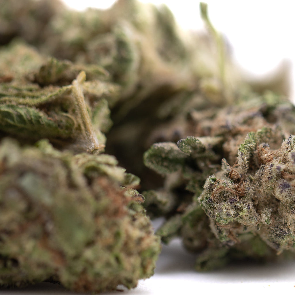 Gas Monkey THCa Greenhouse Smalls