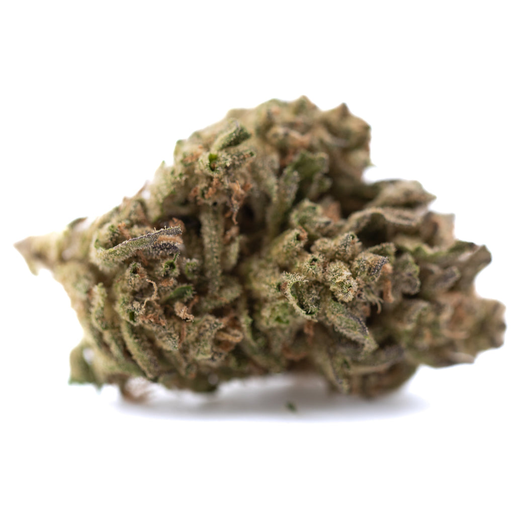 Ice Cream THCa Flower Full-Term