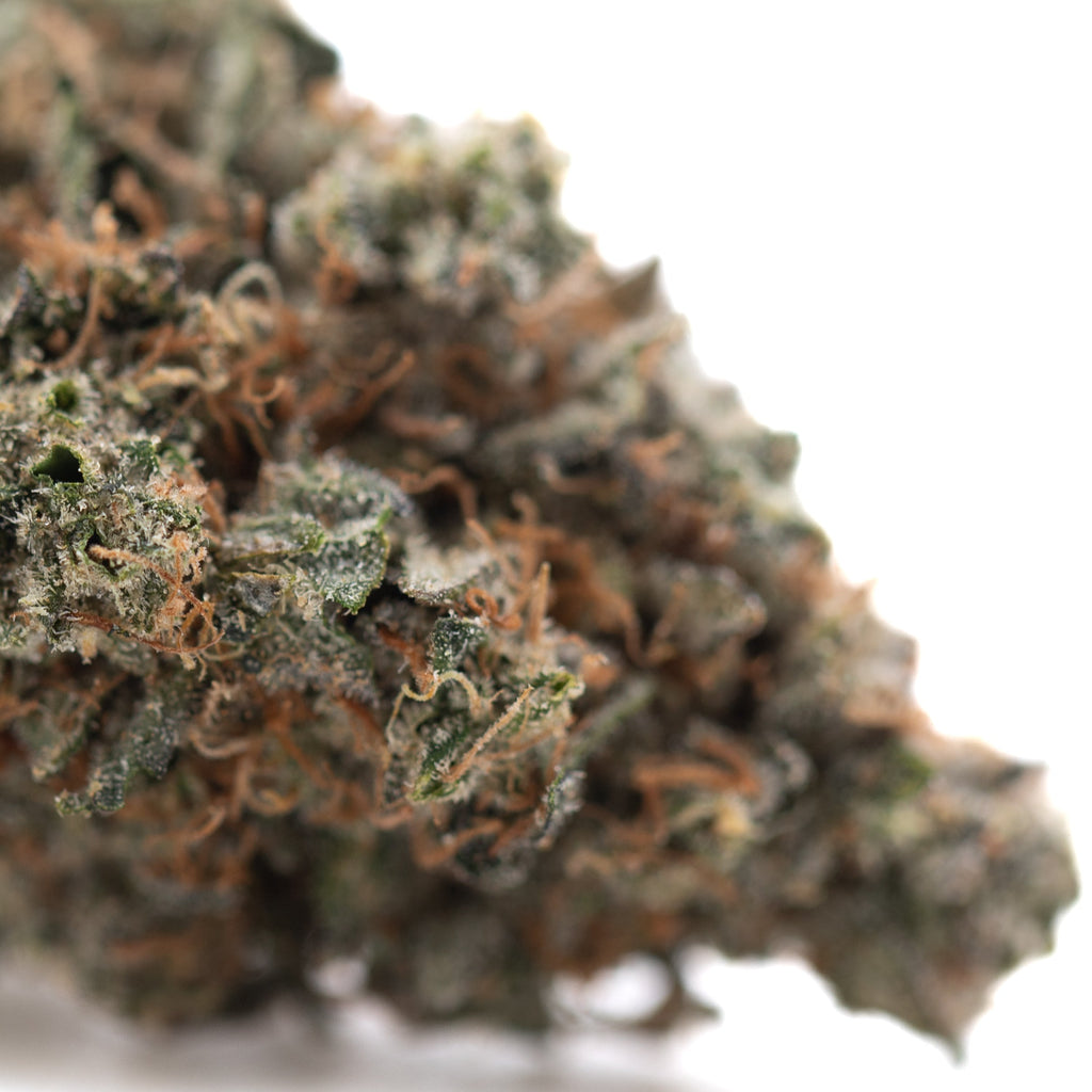 Party Animals #2 Indoor THCa Flower