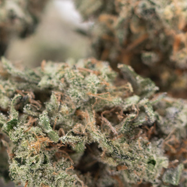 Platinum Huckleberry Cookies Indoor THCa Flower