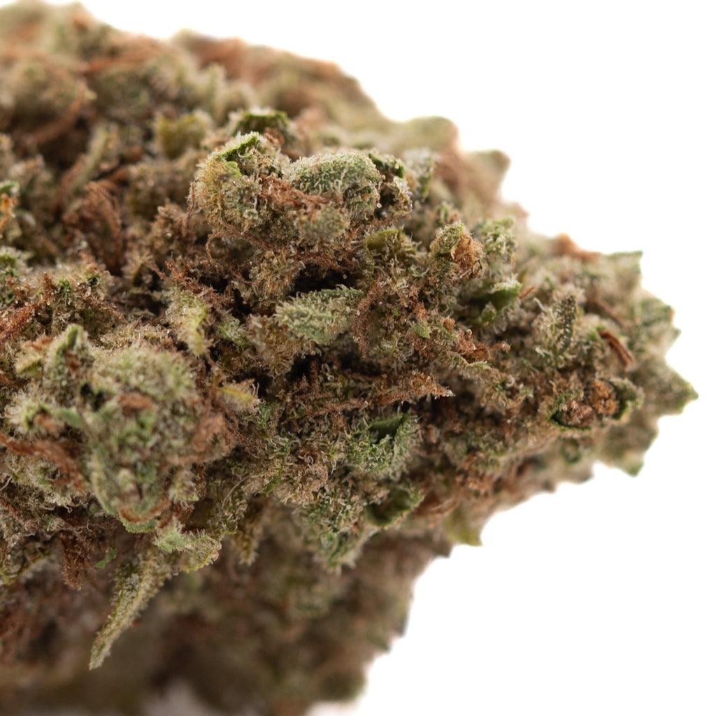 Pure Kush THCa Hemp Flower Greenhouse