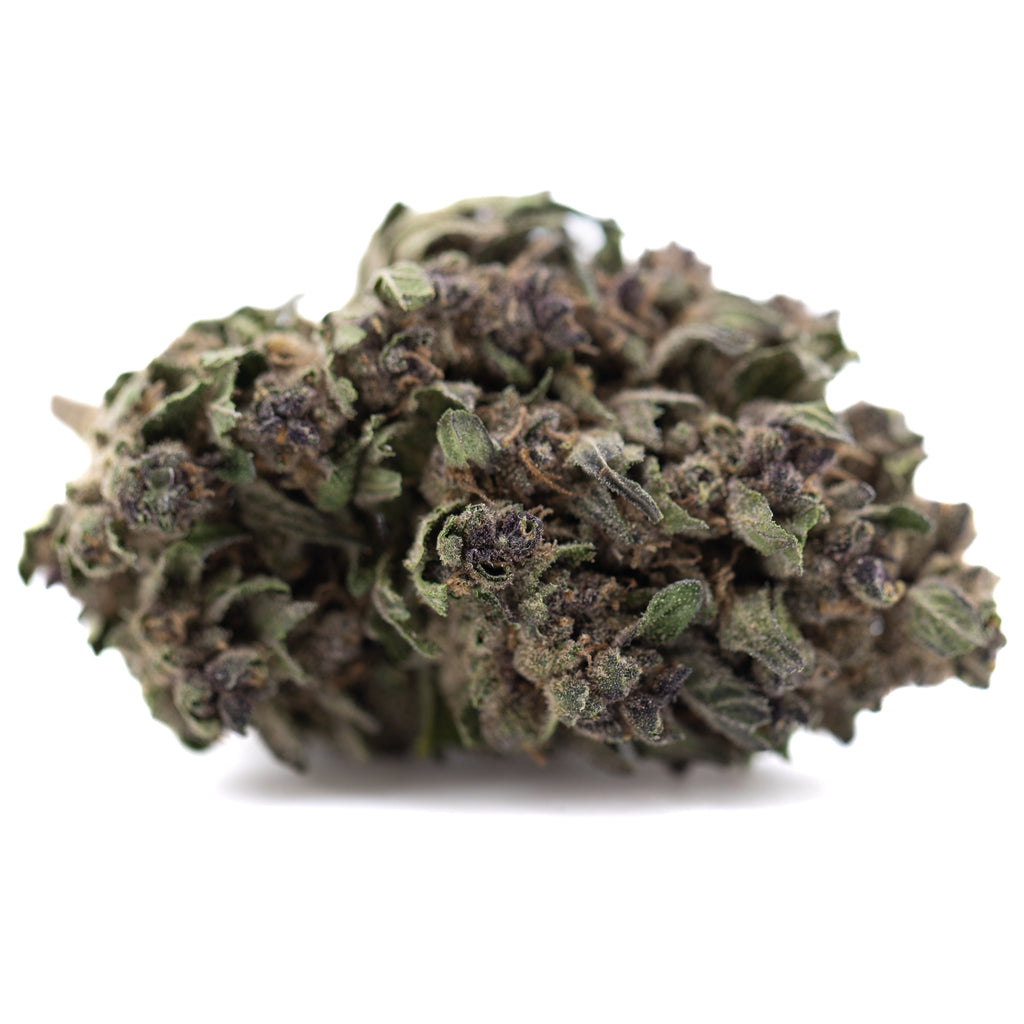 Purple Daiquiri THCa Hemp Flower Greenhouse