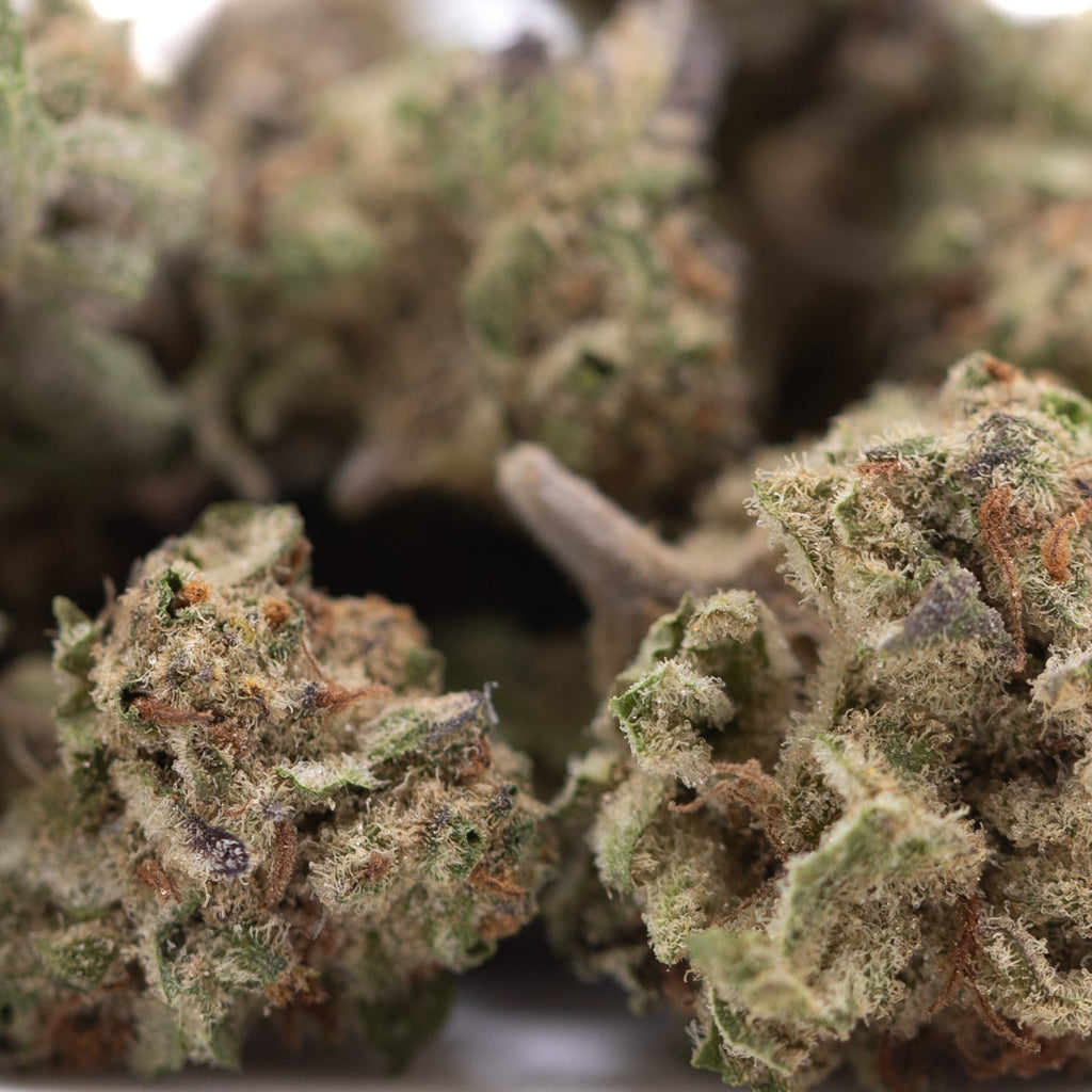 Purple Pop Rocks THCa Hemp Flower Greenhouse Smalls