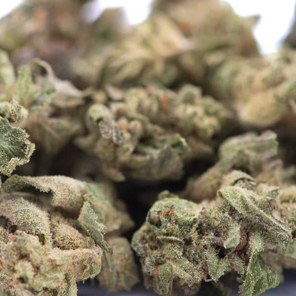 Rozay Cake THCa Hemp Flower Greenhouse Smalls