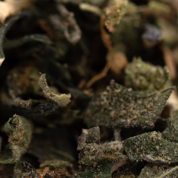 Street Tarts Indoor THCa Trim Wholesale