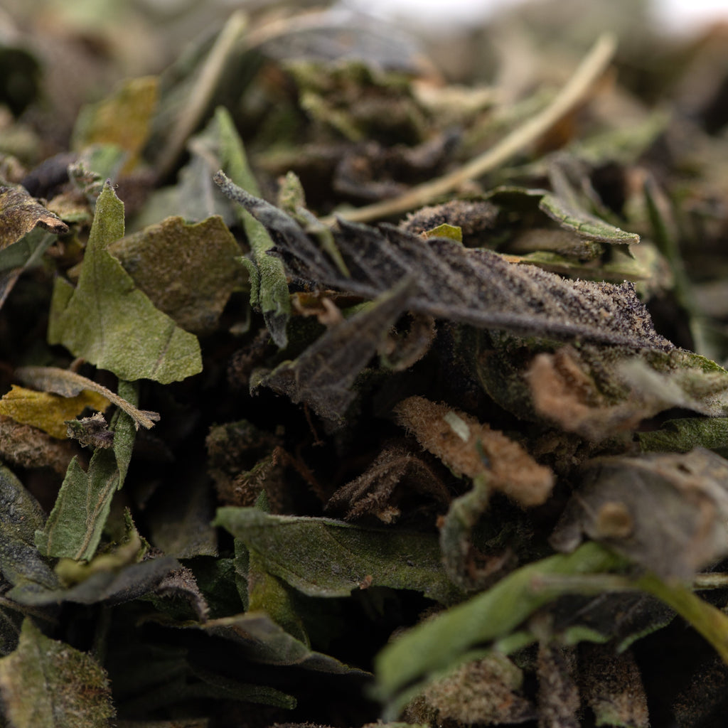 Zushi Greenhouse THCa Trim Wholesale