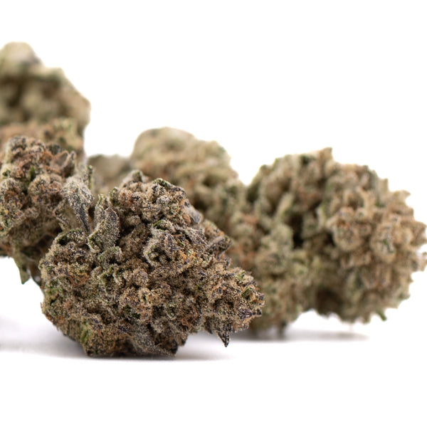 Premium Black Ice THCa flower bud with dense trichomes