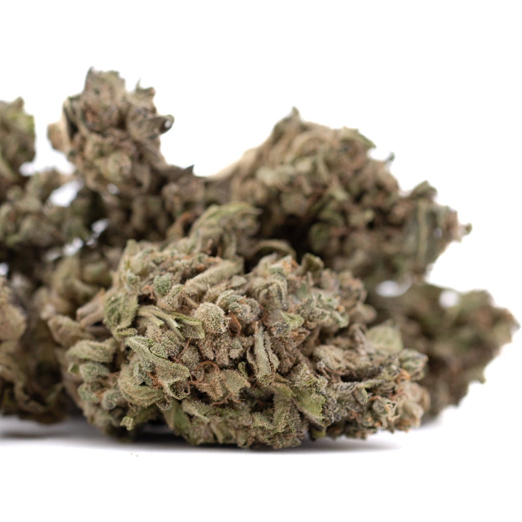 Premium Cream Caramel THCa hemp flower bud with dense trichomes