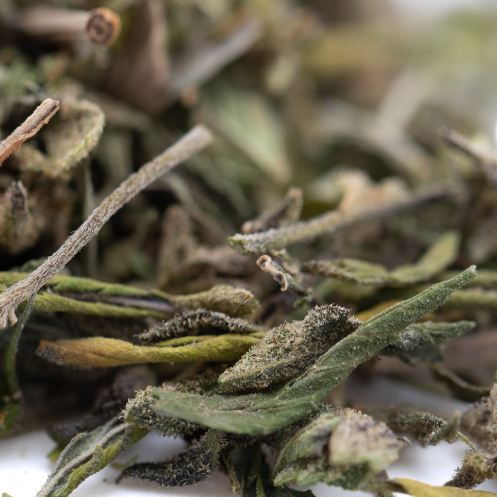 Dried Daily Grape green tea leaves for sleep support