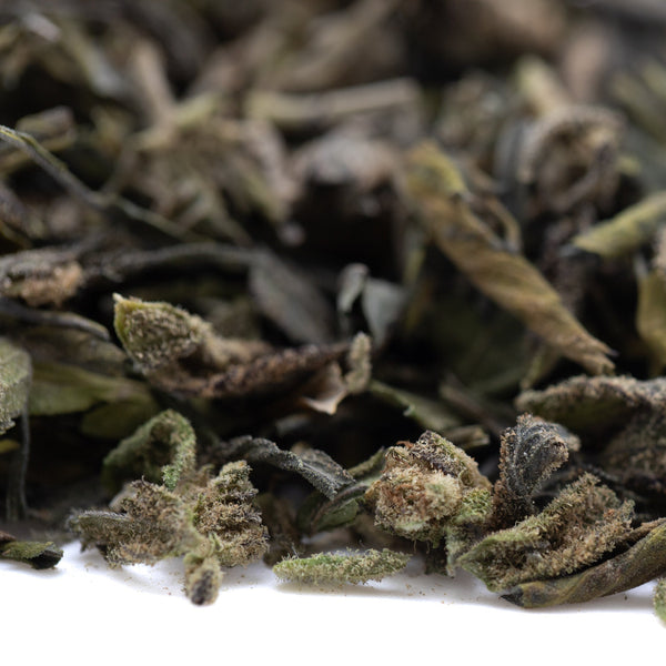 Deep Space Greenhouse THCa trim: green tea leaves with white tips