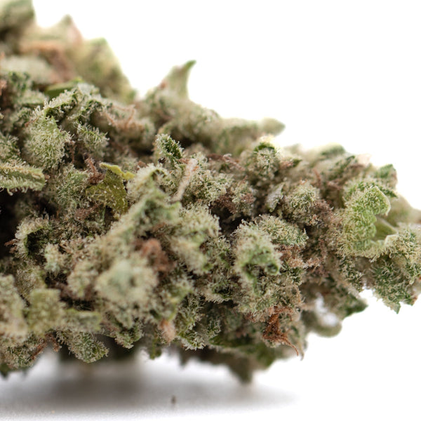 Premium Froot by the Foot Full-Term THCa Flower with Purple Bud