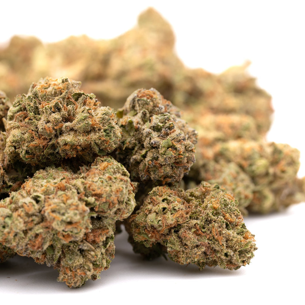 Garlic Cookies THCa Hemp Flower Greenhouse - Plants