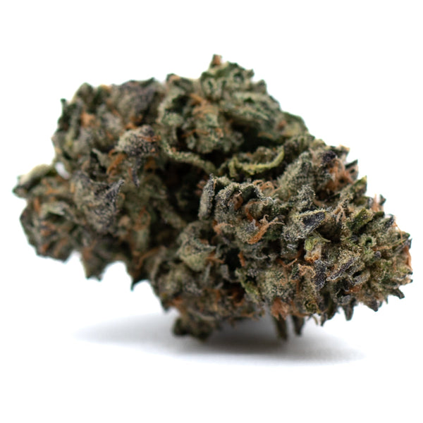 Dense trichome-covered Gas Indoor THCA Flower wholesale with green, purple, and orange hues