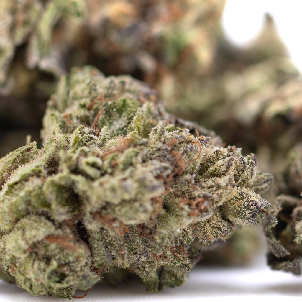 Premium Jealousy THCa hemp flower small buds with purple trichomes