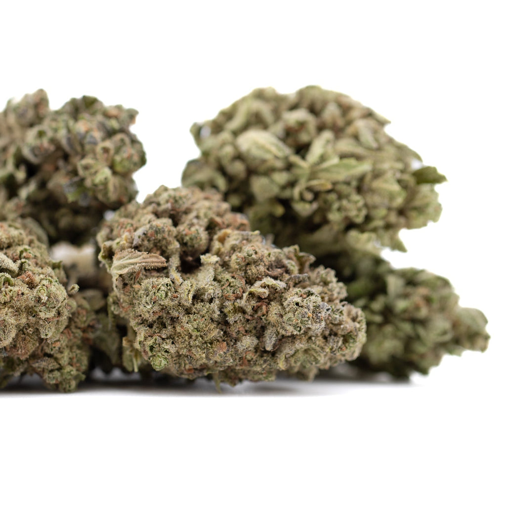 Jelly Donut THCa Flower: Dense Marijuana Buds with Green White Trichomes