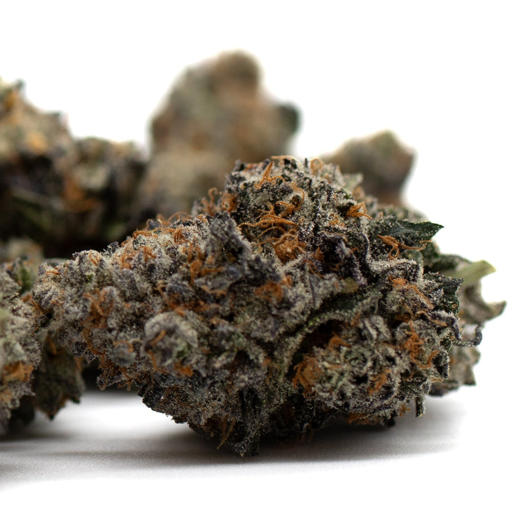 Dense cannabis buds with orange hairs from Jessica Rabbit Indoor THCa Flower