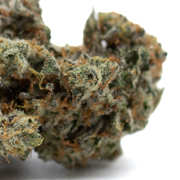 Dense Mint Runtz Indoor THCa Flower bud covered in shimmering trichomes