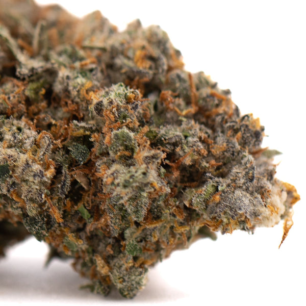 Nectarine Jelly THCa hemp flower bud with green orange hues and trichomes