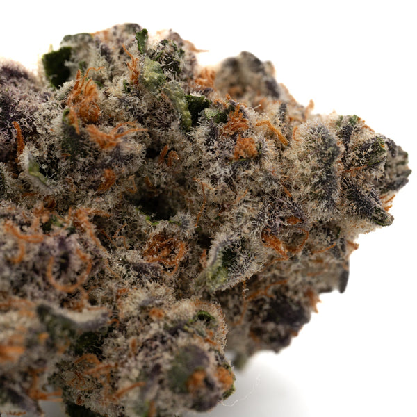Dense black frost THCA flower with orange pistils and purple hues in Raspberry Runtz hemp flower