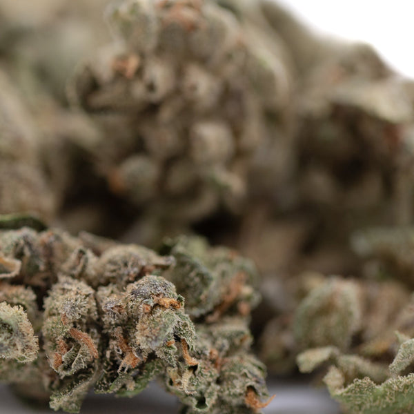 Sour Apple THCa Flower Smalls: potent bud with green leaves and white trichomes