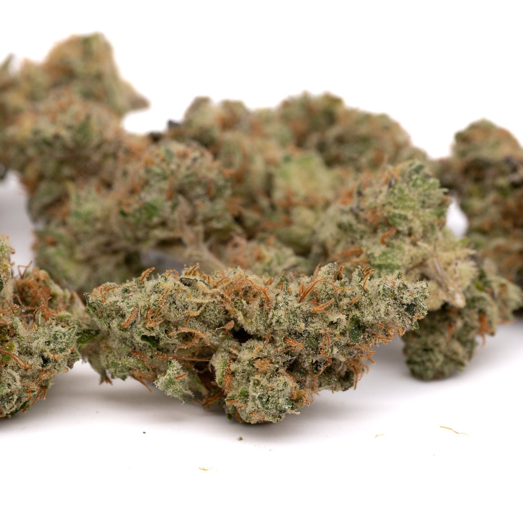 Sour Garlic THCa Hemp Flower - Plants