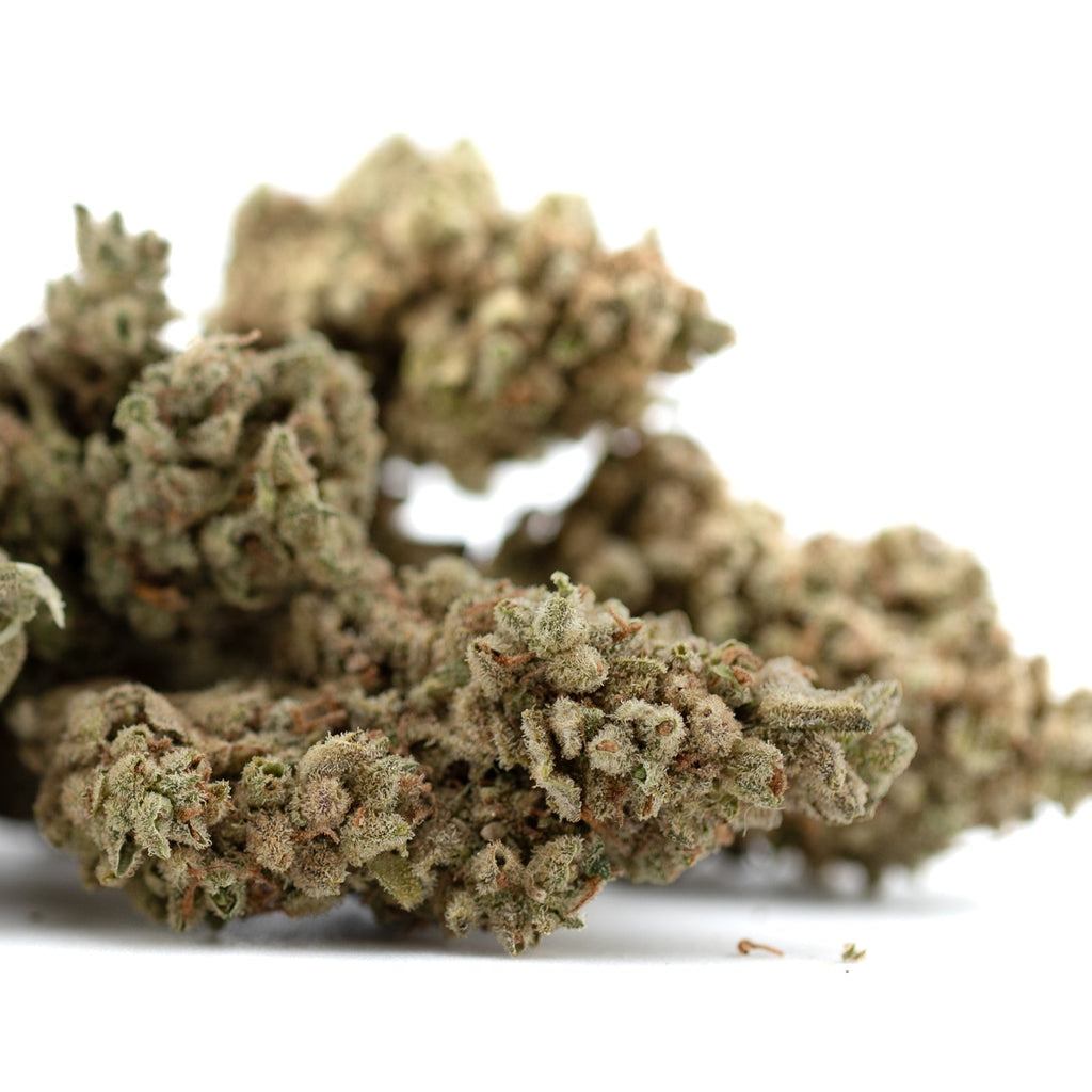 Premium TriCross THCa Flower with exotic three-way genetics and dense trichomes