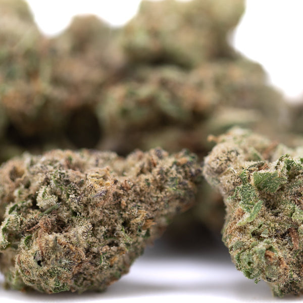 Premium Zonkers THCa greenhouse smalls hemp flower bud with trichomes