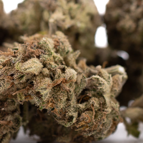 Premium Zonkers THCa Hemp Flower: Balanced Hybrid Green Bud with Trichomes